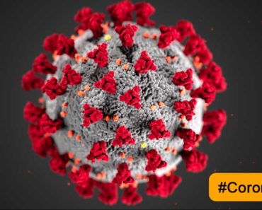 कोरोना व्हायरस मानवी त्वचेवर किती वेळ जिवंत राहतो? संशोधनात अंचबित करणारी माहिती समोर